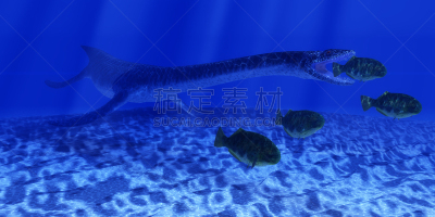 海洋,侏罗纪,水,尼斯湖水怪,水平画幅,绘画插图,蜥蜴,水下,图像,月鱼