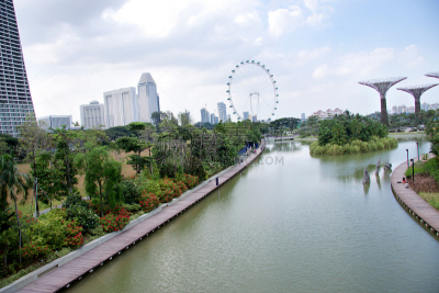 滨海湾公园,新加坡市,滨海湾金沙酒店,滨海湾 ,沙漠绿洲,名声,金沙,红棕色马,公园,透过窗户往外看