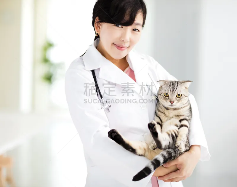 猫 兽医 女性 美 水平画幅 美人 制服 日本人图片素材下载 稿定素材 猫 兽医 女性 美 水平画幅 美人 制服 日本人图片素材下载 稿定素材