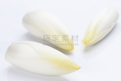 菊苣,清新,饮食,水平画幅,背景分离,白色,植物,比利时,黄色,大特写