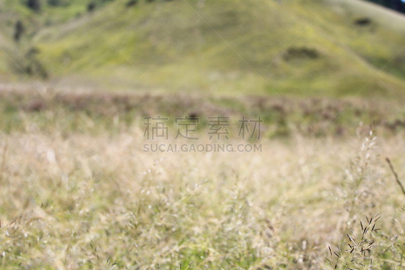 南美大草原,背景幕,山,天空,bromo-tengger-semeru national park,夏天,草,塞梅鲁火山,热带气候,风景