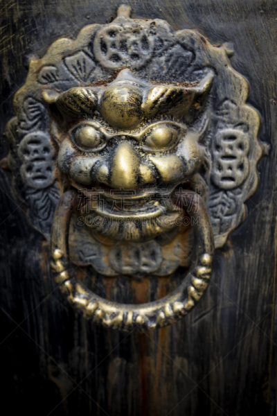 门,狮子,无人,古老的,垂直画幅,图像,绘画插图,艺术,设计,摄影
