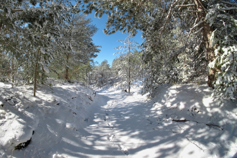 埃特纳火山,西西里,雪,小路,公园,天空,水平画幅,无人,火山地形,户外