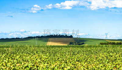 Countryside Landscapes in the Brazilian State of ParanÃ¡, Near the Cities of Cascavel and Toledo