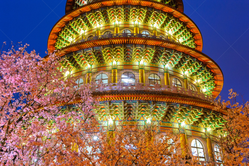 寺庙,台币,灵性,樱花,夜晚,过去,复杂,门厅,著名景点,纪念物
