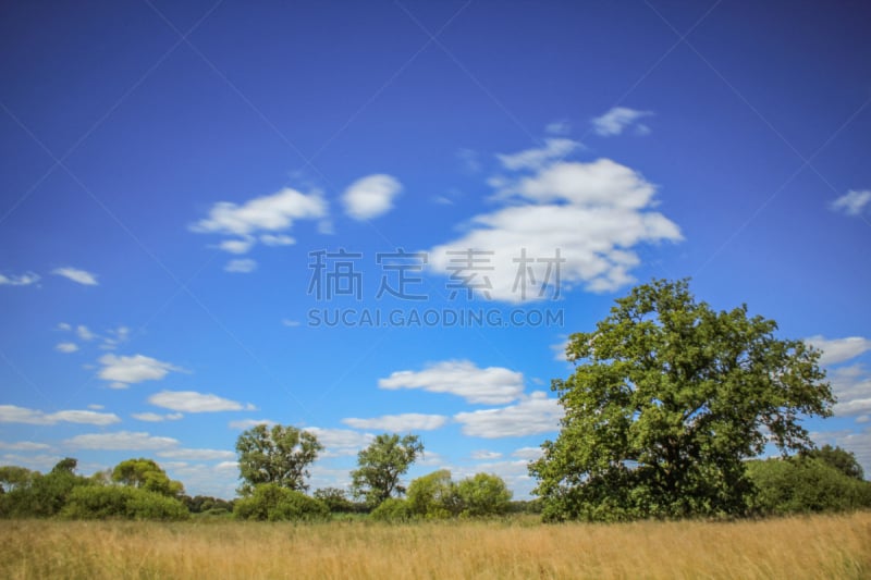 beautiful summer landscape in Drömling nature reserve, Germany