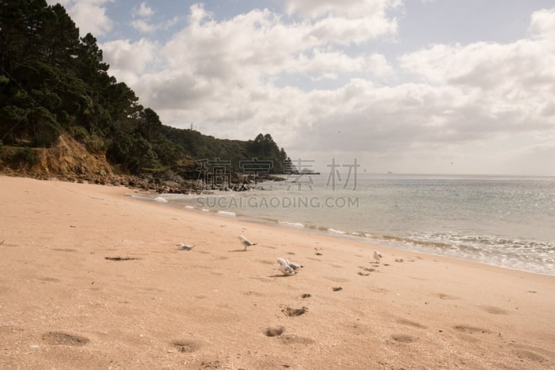 科罗曼德尔半岛,自然美,居住区,cathedral cove,水,水平画幅,沙子,半空中,夏天,户外