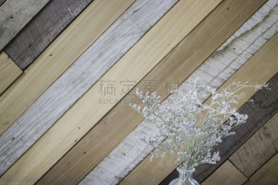 水香花菜,干的,木制,背景,美,留白,褐色,古董,水平画幅,无人