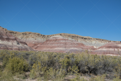 风景,犹他,地球,莫斯特,一只动物,路,万岩柱,沙岩,escalante,沙漠