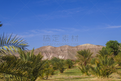农场,枣椰子,莫哈韦沙漠,德拉河,达拉谷,暖炉管井,贝多因人,盐滩,撒哈拉沙漠,沙子