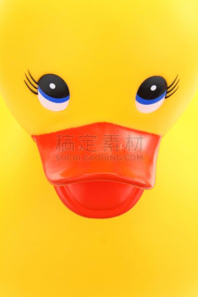 特写,黄色,橡皮鸭子,小鸭子,个人随身用品,垂直画幅,符号,鸟类,湿,塑胶