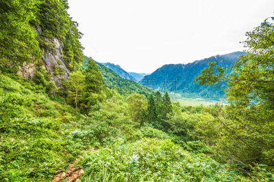 山,露面闲谈,烧岳,中部山岳国立公园,飞驒山脉,笋,登山杖,留白,休闲活动,水平画幅