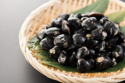 蛤蚌,淡水,健康食物,食品,图像,海洋,成分,小的,无人,水