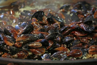 贻贝,特写,烤的,蒸菜,水平画幅,软体动物,膳食,海产,煎锅,锅