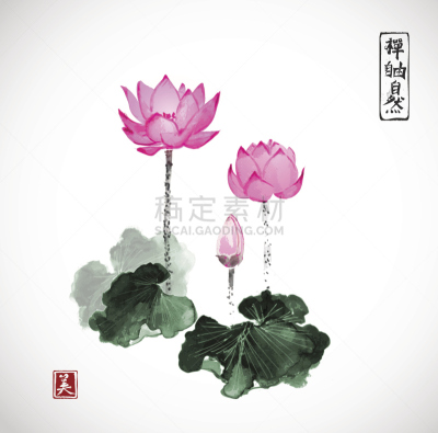 荷花,墨水,动物手,水彩画颜料,日本,绘画插图,美,绘画作品,水平画幅,无人