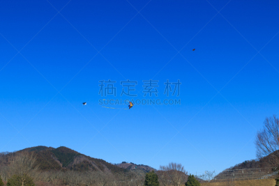 天空,公园,风筝,水平画幅,郊区,无人,相模原,草坪,户外,湖