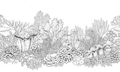 礁石,成一排,水平画幅,式样,珊瑚虫,深的,海洋生命,水族馆,水下,草图