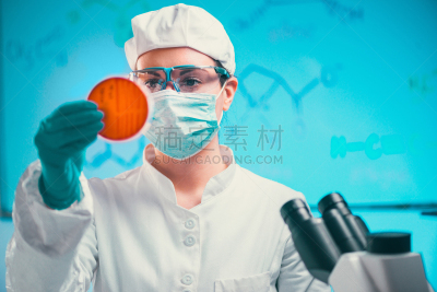 微生物学,细菌,皮氏培养皿,成年的,技术员,科学家,化学家,女人,化学制品