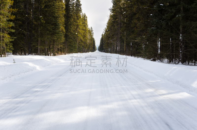 雪,冬天,绿色,路,森林,晴朗,白昼,弓河谷景观道,主干路,阿尔伯塔省