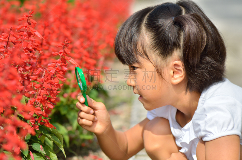 虫めがねで花を観察する女の子