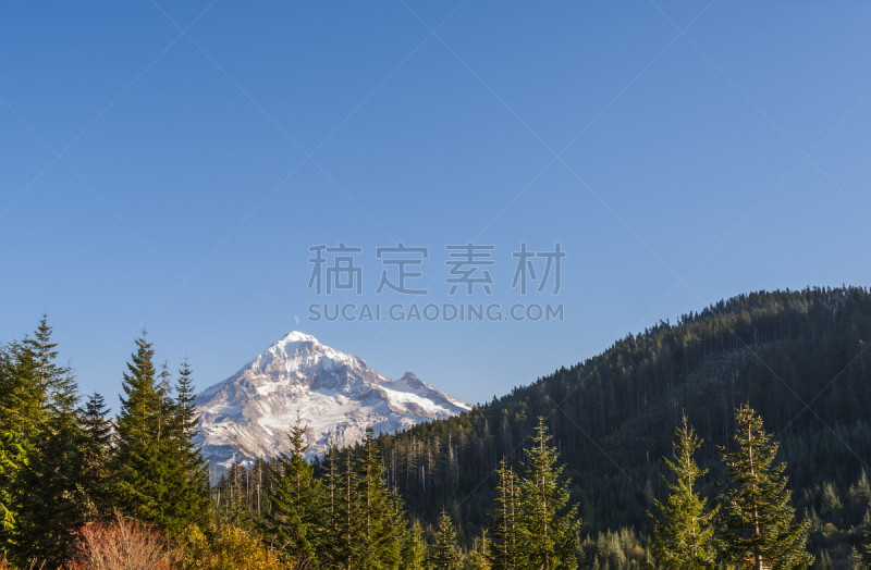 胡德雪山,国家森林公园,罗罗山口,羽冠山国家森林,卡斯基德山脉,自然,天空,留白,俄勒冈州,俄勒冈郡