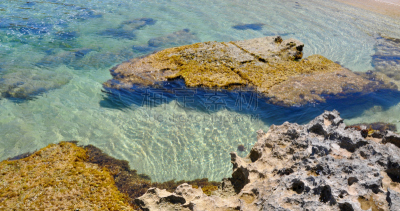 水,透明,石灰石,cape peron,海藻灰,西澳大利亚,水平画幅,岩石,印度洋,无人