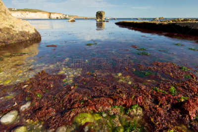 淡水湾,水,水平画幅,无人,户外,白色,海草,海滩,海景