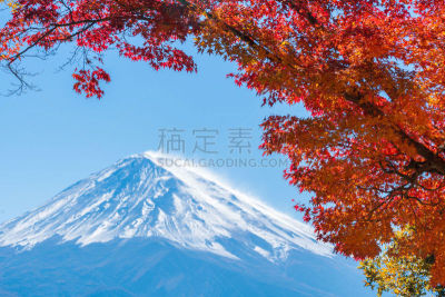富士山,秋天,日本,彩色图片,水,水平画幅,樱花,樱桃,雪,无人
