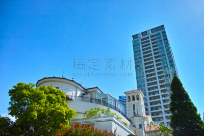 绿色,公寓,摩天大楼,清新,横滨,水平画幅,枝繁叶茂,无人,日本,夏天