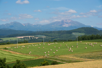田地,山,草,天空,留白,水平画幅,云,夏天,组物体,大雪山国家公园