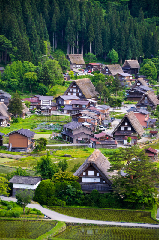 白川乡,世界遗产,日本,黄昏,春天,建筑工地,合掌屋,岐阜县,观测点,稻田