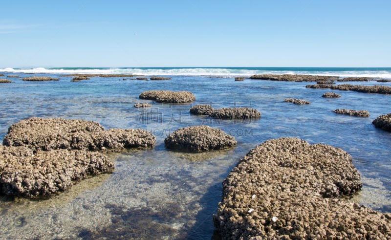 蓝孔,浅的,海滩,潮汐,池塘,kalbarri,石砌,潮水坑,水,西澳大利亚