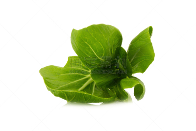 婴儿,油菜,分离着色,白色背景,农业,蔬菜,清新,食品,成分,农场