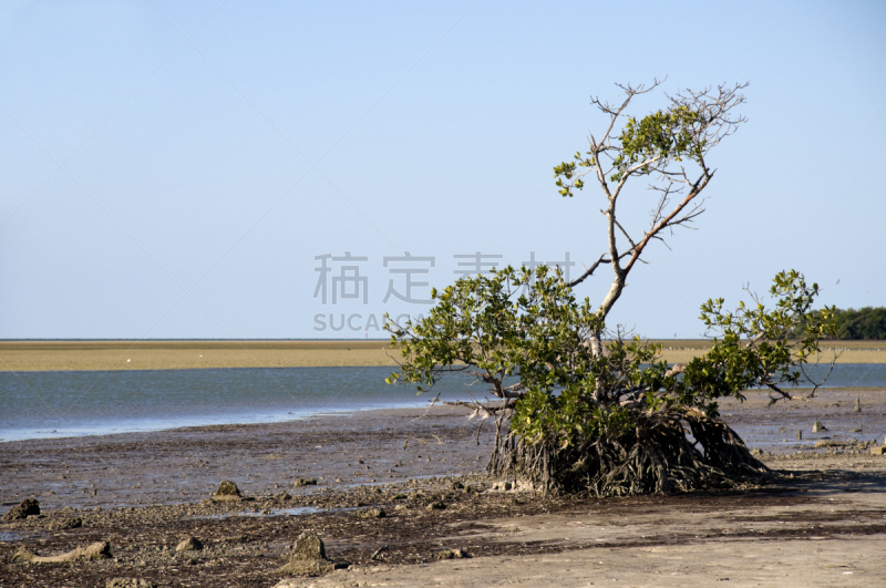 佛罗里达,佛罗里达湾,自然,水,天空,水平画幅,地形,无人