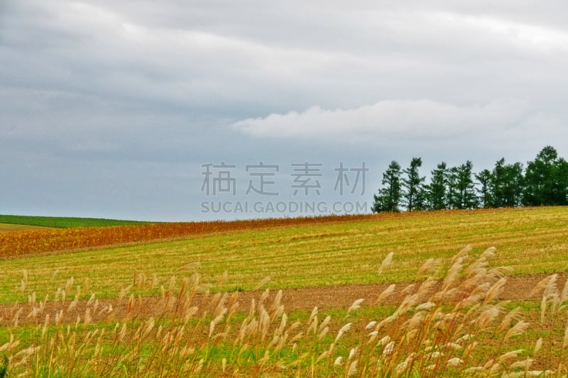 美瑛町,北海道,日本,山,田地,宽的,都市风光,富良野盆地,上川支厅,透过窗户往外看