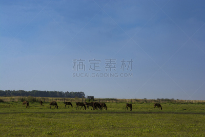 地形,潘帕斯大草原,南美,阿根廷,水平画幅,巴塔哥尼亚,抽象,拉潘帕市,户外,拉丁美洲