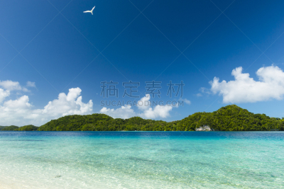 帕劳,海滩,菲律宾海,西太平洋,巴贝尔多布岛,科罗尔,岩岛,国际生物圈保护区,北太平洋,水资源保护