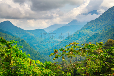 哥伦比亚,热带雨林,加利福尼亚内华达山脉,圣玛尔塔内华达山脉,圣达马达,山,地形,水平画幅,绿色,无人