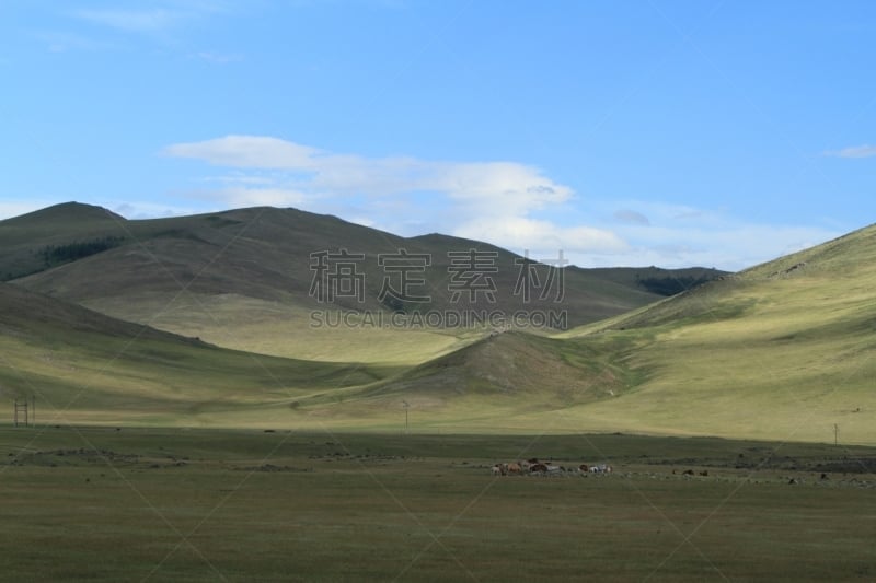 东欧大草原,鄂尔浑河谷,自然,草地,柳树,水平画幅,野地,地形,山,无人