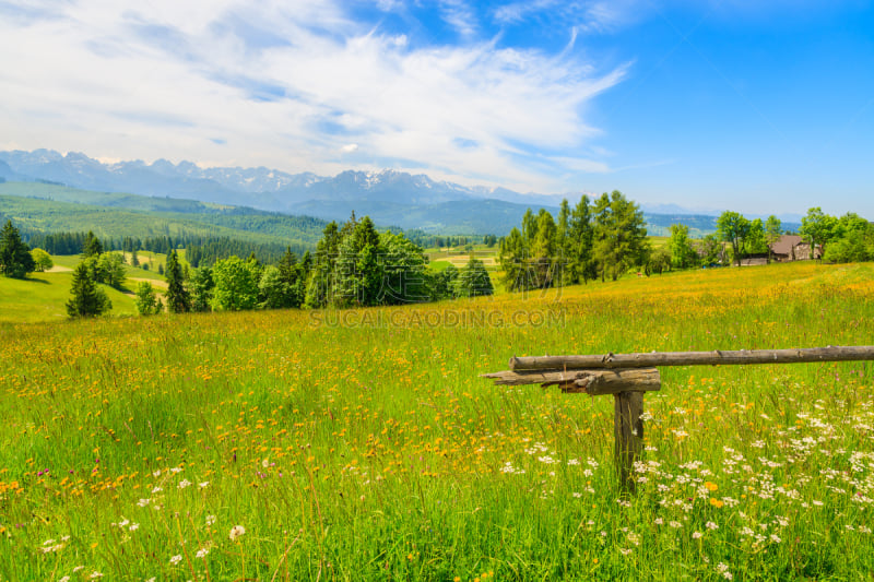 Wooden fence on green meadow with mountains view, Lapszanka, Tatra Mountains