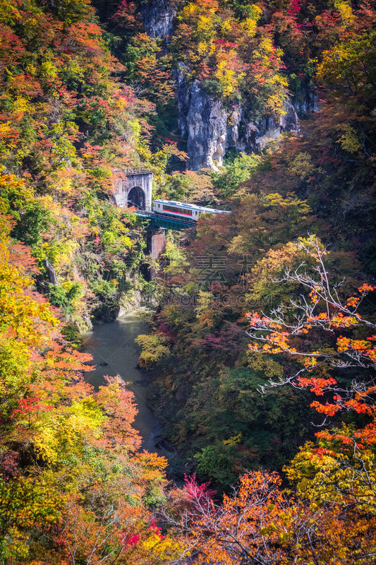 秋天,沟壑,分界线,垂直画幅,旅行者,户外,山,大崎市,东北片区,河流