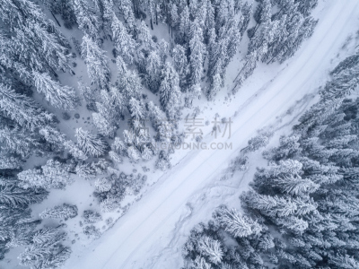 冻结的,航拍视角,森林,松树,前南斯拉夫,单车道,雪,霜,在上面,无人机