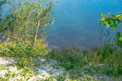 柳树,河岸,气候,水平画幅,无人,湿,夏天,户外,湖,杭州