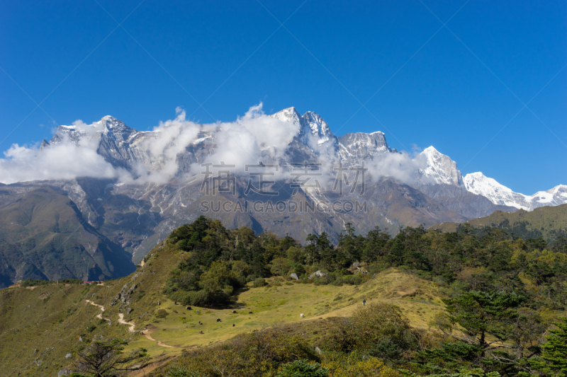 昆布地区,山顶,康德峰,珠峰大本营,坤布,水平画幅,户外,草,山,松科