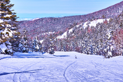 滑雪坡,天空,山之内町,里山,度假胜地,休闲活动,水平画幅,山,雪,长野县