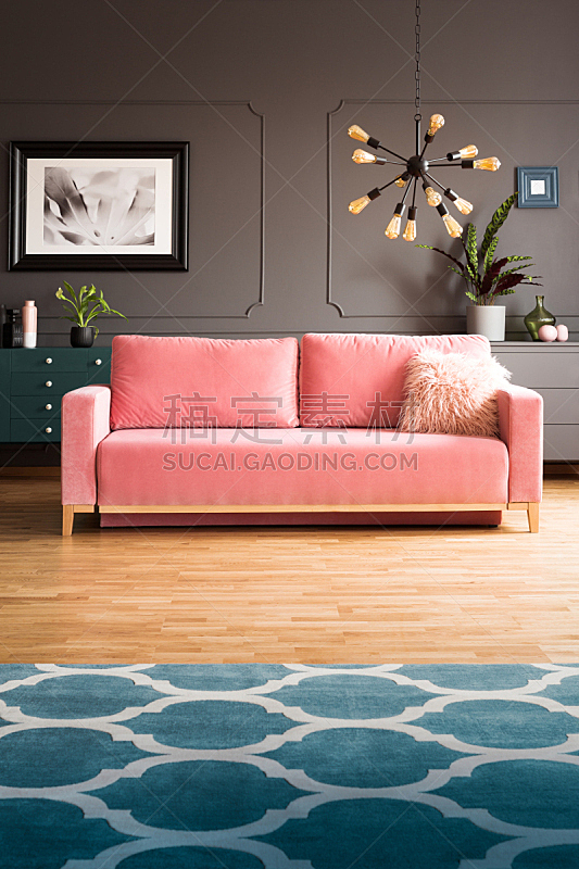 软垫,格子棚,沙发,现代,摩洛哥,起居室,粉色,灯,地毯,室内