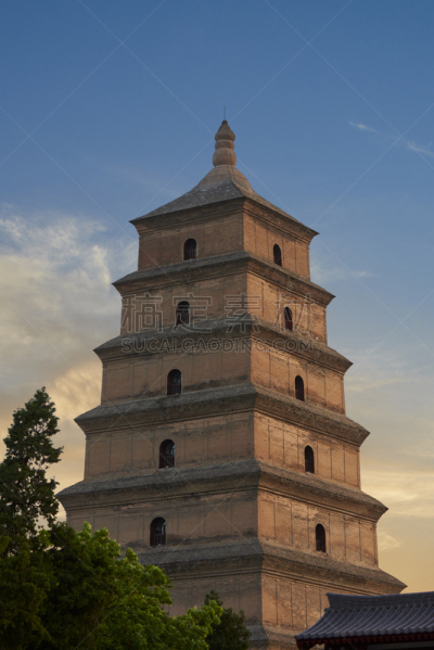 宝塔,巨大的,丘陵鹅,野外动物,垂直画幅,天空,无人,户外,过去,非凡的