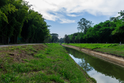 灌溉设备,绿灰树,堤岸,郊区,紫色背景,水,天空,水平画幅,无人,运河