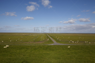 万斯特尔海沃尔灯塔,德国,灯塔楼,北弗里西亚,有空房,白昼,建筑外部,图像,绵羊,草