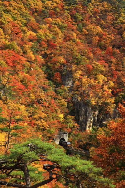 山谷,秋天,叶子,旅途,自然美,大崎市,河流,岩石,户外,天空
